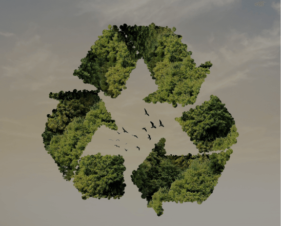 Recycle